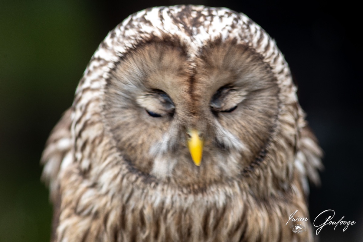 1DX45596 28 november 2021 1411 11